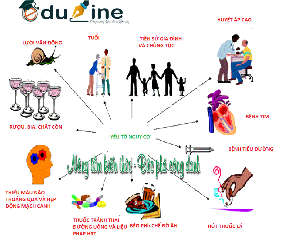 Trung tâm Du Học eduline Việt Nam