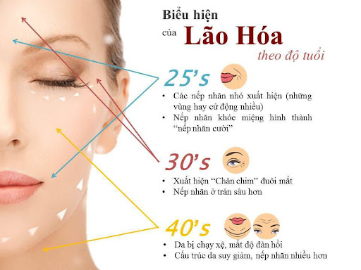 Trung tâm Du Học eduline Việt Nam