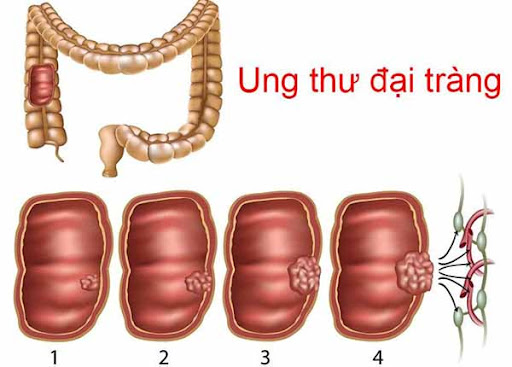 Trung tâm Du Học eduline Việt Nam