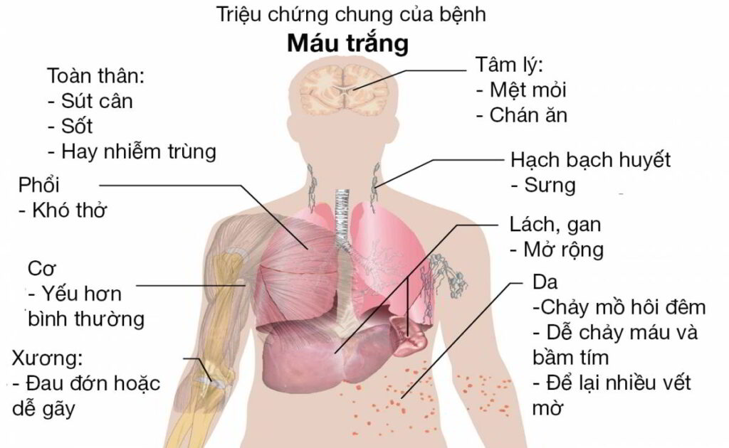 Trung tâm Du Học eduline Việt Nam