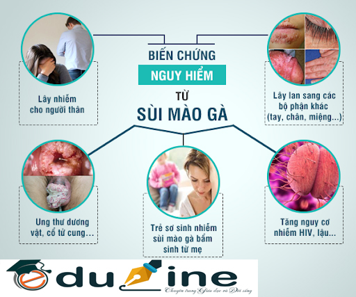 Trung tâm Du Học eduline Việt Nam