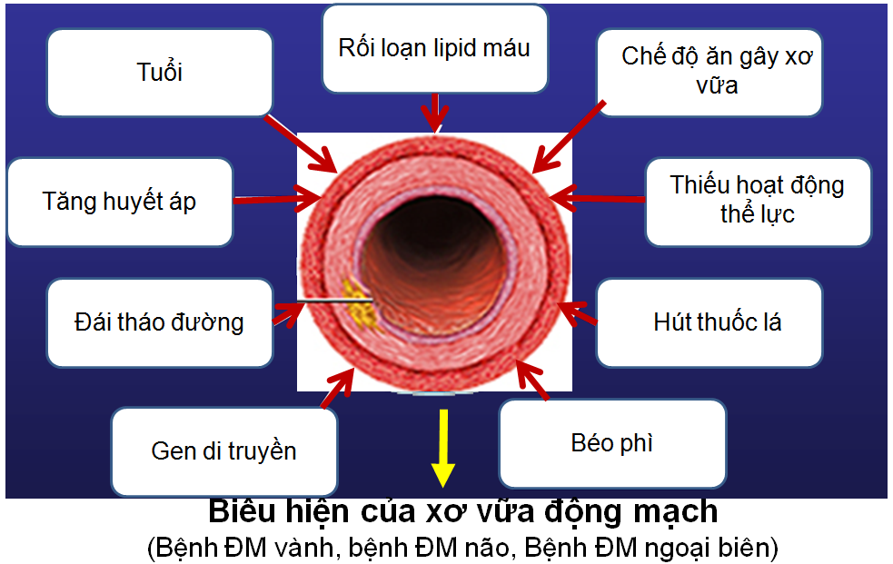 Trung tâm Du Học eduline Việt Nam