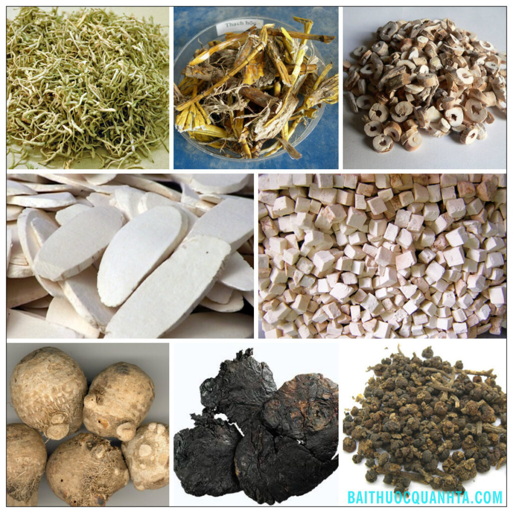 Trung tâm Du Học eduline Việt Nam