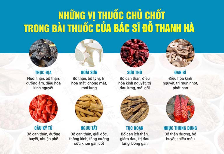Trung tâm Du Học eduline Việt Nam
