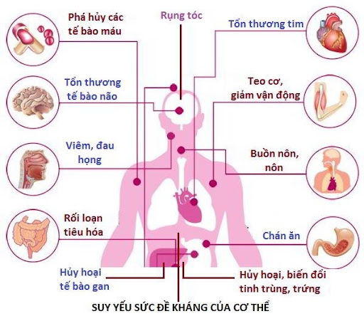 Trung tâm Du Học eduline Việt Nam
