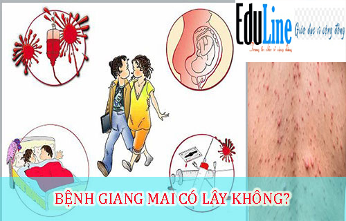 Trung tâm Du Học eduline Việt Nam