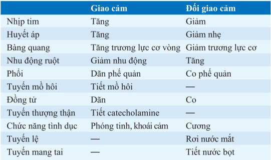 Trung tâm Du Học eduline Việt Nam