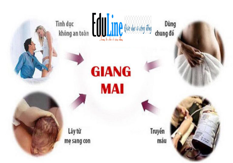 Trung tâm Du Học eduline Việt Nam