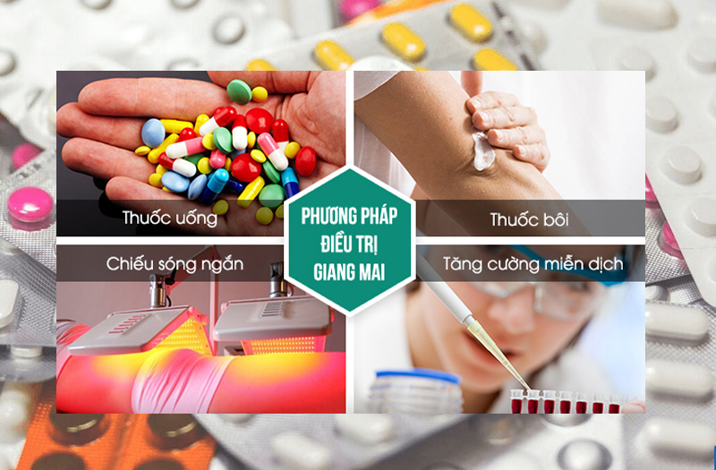 Trung tâm Du Học eduline Việt Nam